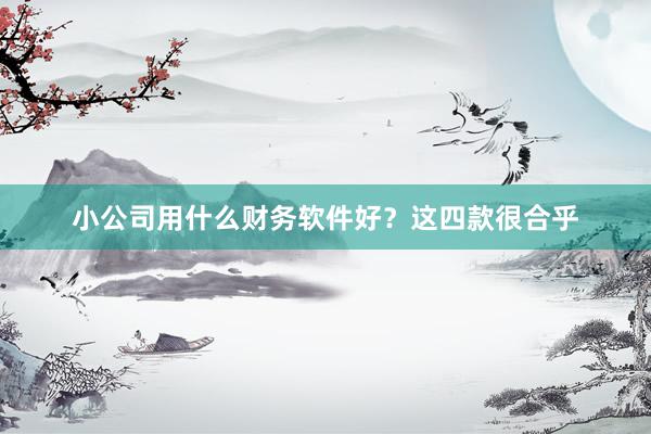 小公司用什么财务软件好？这四款很合乎